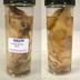 Preserved Specimen Invertebrate Set, Squid