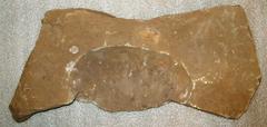 Rock, Unknown