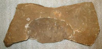 Rock, Unknown