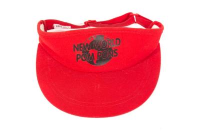 Visor