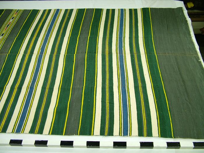 Sari