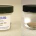 Preserved Specimen Invertebrate Set, Chiton