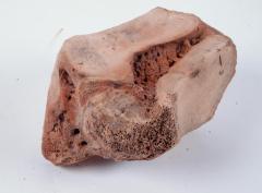 American Mastadon (assoc. elements)