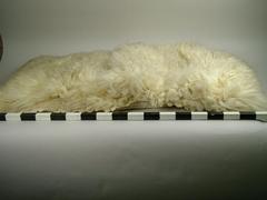 Robe, Carriage