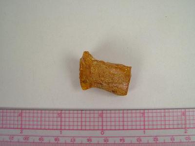 Amber Fragment