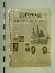 Reproduction Of Newspaper, The Echo, 20 June 1913, Grand Rapids Polish American Archival Collection #127