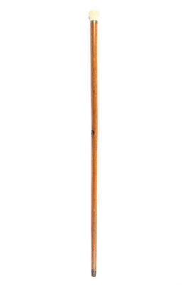 Cane