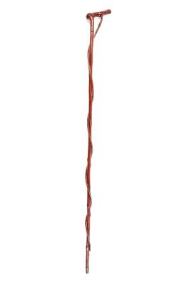 Cane