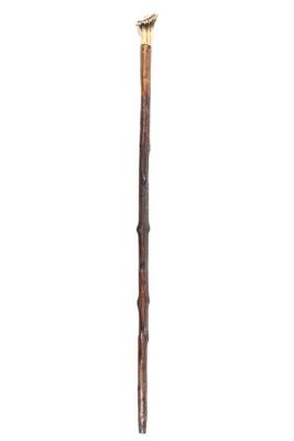 Cane