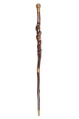 Cane