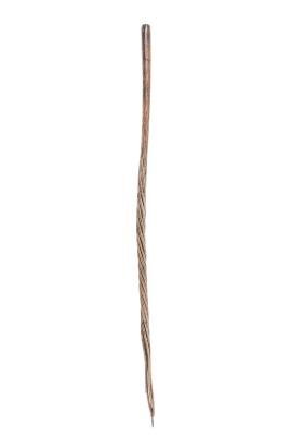 Cane