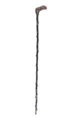 Cane, shillelagh