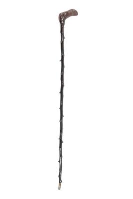 Cane, shillelagh