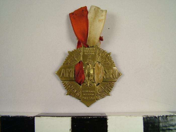 Medal, Cross Of Polish Soldiers From America