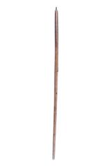 Cane Sword