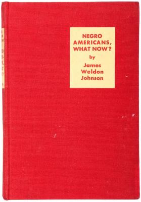 Book, Negro Americans, What Now?