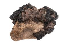 Hornblende