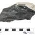 Metamorphosed Basalt