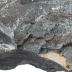 Metamorphosed Basalt