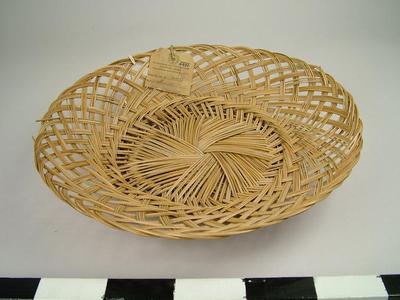 Tray