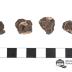 Cassiterite