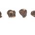 Cassiterite