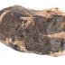 Cassiterite