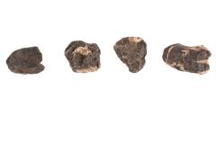 Cassiterite