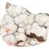 Druzy Quartz