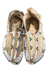 Moccasins