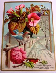 Trade Card, Chicago Shoe Store