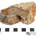 Silver Ore