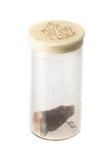 Gold in Quartz