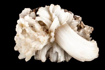 Selenite