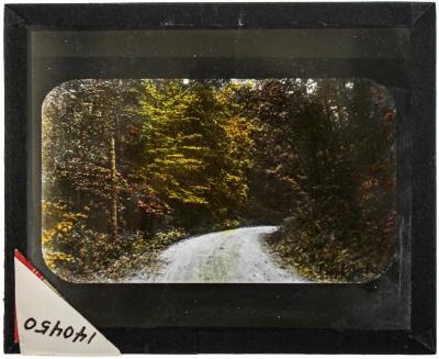 Lantern Slide, O'Brien Road