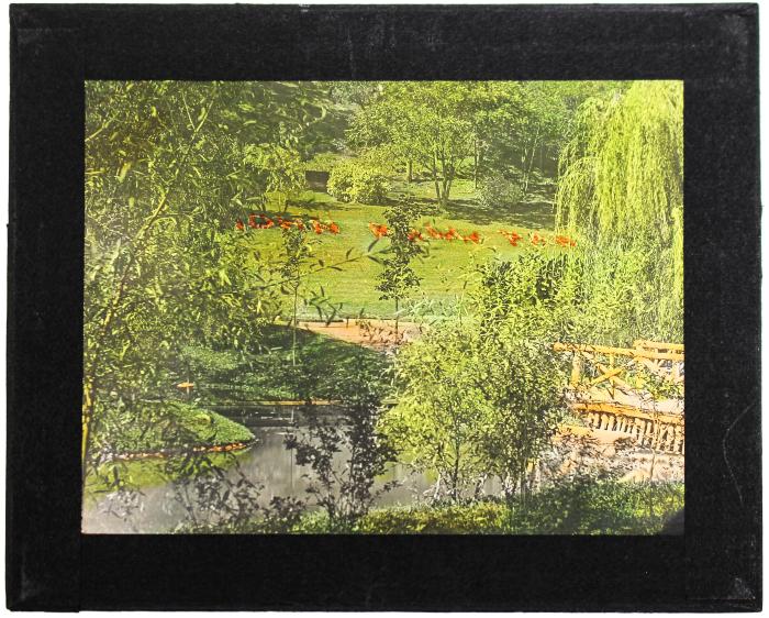 Lantern Slide, John Ball Park