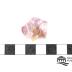 Morganite