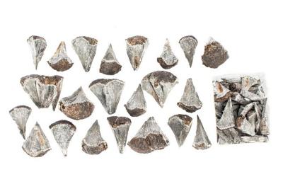 Marcasite
