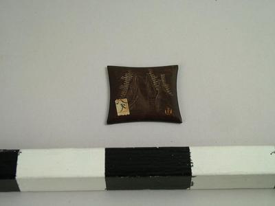 Wood Piece