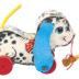 Playful Puppy Pull Toy