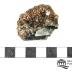 Almandine Garnet in Muscovite