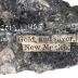 Silver and Gold Ore
