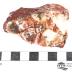 Common Opal