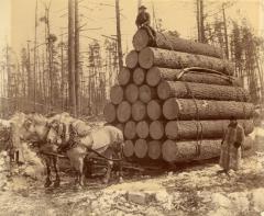 Photograph, Lumber Sled