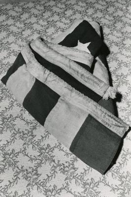 Photograph, USS Concord Flag