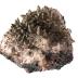 Pyrite on Calcite