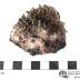 Pyrite on Calcite