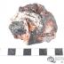 Pyrite on Calcite