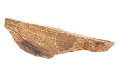 Wood Opal