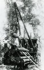 Photograph, Logging near Ada